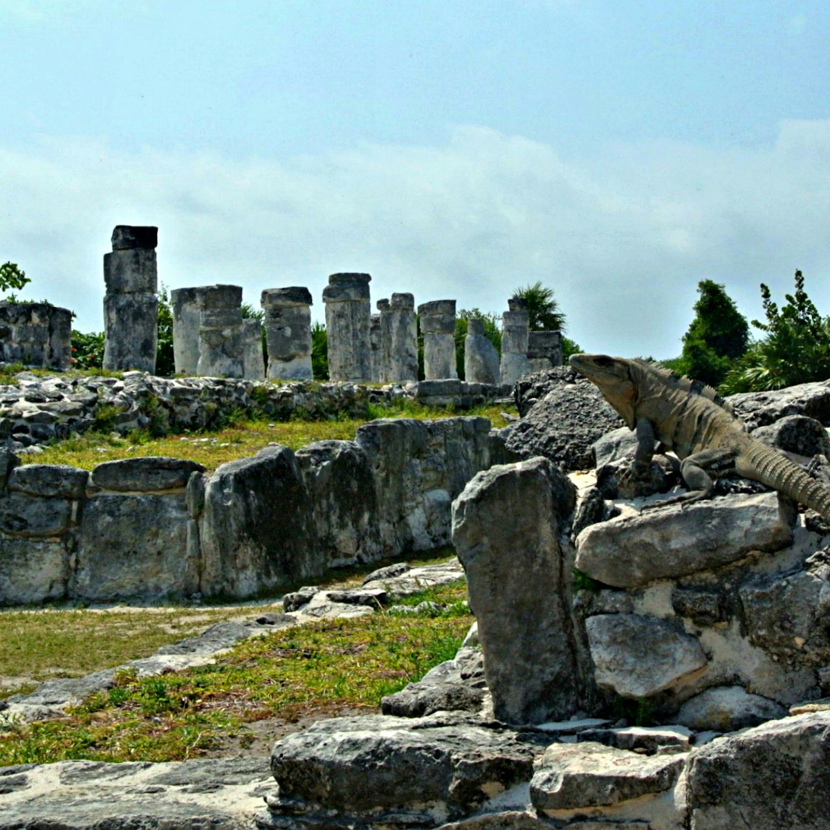 Zona Arqueológica El Rey